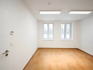 Pronájem skladu, Hořín, 1933 m2