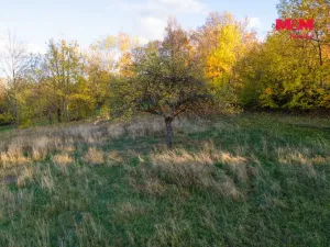 Prodej pozemku pro bydlení, Soběšice - Damíč, 2062 m2