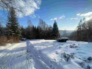 Prodej pozemku, Albrechtice v Jizerských horách, 590 m2