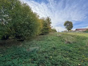 Prodej pozemku pro bydlení, Trstěnice, 1867 m2