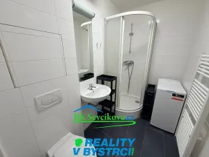 Pronájem bytu 1+kk, Brno, Bašty, 31 m2