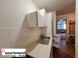 Prodej bytu 1+1, Praha - Žižkov, Jagellonská, 51 m2