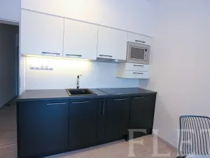 Pronájem bytu 1+kk, Praha - Karlín, U Mlýnského kanálu, 36 m2