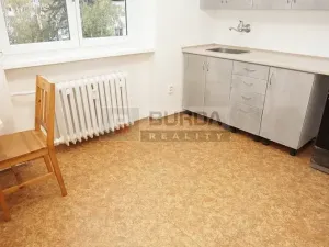 Pronájem bytu 1+1, Neratovice, 30 m2