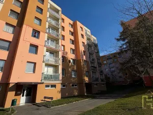 Prodej bytu 1+1, Chotěboř, Břevnická, 42 m2