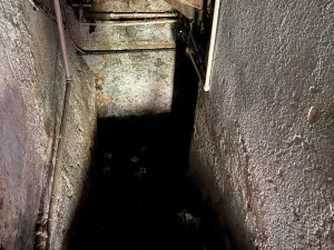 Prodej rodinného domu, Dětřichov, 150 m2