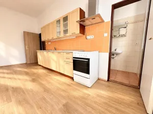 Pronájem bytu 2+1, Praha - Žižkov, Bořivojova, 56 m2