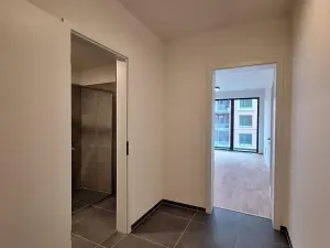 Pronájem bytu 1+kk, Praha - Karlín, Švarcova, 31 m2