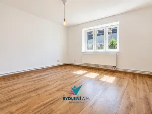 Prodej bytu 2+1, Tisá, 60 m2