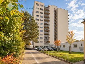 Prodej bytu 1+kk, Praha - Krč, Panuškova, 51 m2