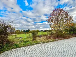 Prodej komerčního pozemku, Praha - Zličín, 6000 m2