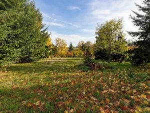 Prodej rodinného domu, Moravskoslezský Kočov, 90 m2