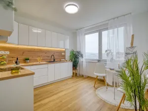 Pronájem bytu 1+1, Ústí nad Labem - Krásné Březno, Rozcestí, 41 m2