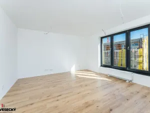 Prodej bytu 1+kk, Plzeň, Železná, 38 m2