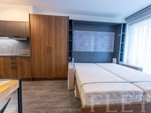 Pronájem bytu 1+kk, Praha - Karlín, Sokolovská, 31 m2