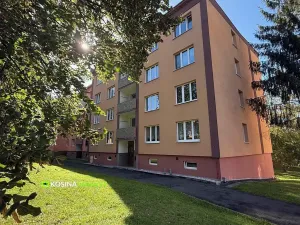Pronájem bytu 2+1, Sokolov, Seifertova, 54 m2
