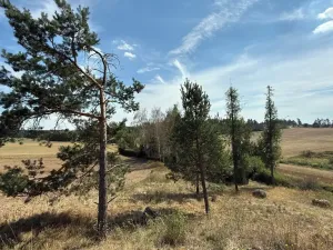 Prodej chalupy, Trnava, 124 m2