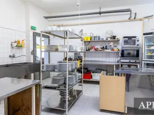 Prodej ubytování, Luhačovice, Masarykova, 420 m2