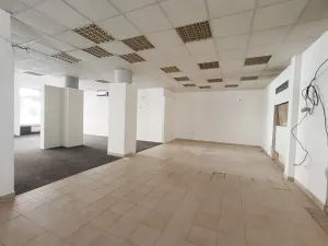 Pronájem obchodního prostoru, Hradec Králové, Gočárova třída, 170 m2
