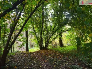Prodej pozemku pro bydlení, Benešov, 1535 m2