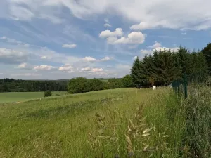 Prodej pozemku pro bydlení, Zbizuby, 1000 m2