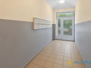 Prodej bytu 2+kk, Praha - Žižkov, Havlíčkovo náměstí, 34 m2