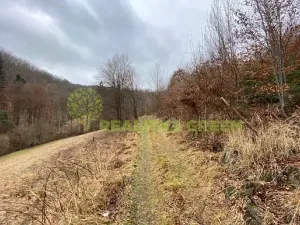 Prodej chaty, Hovězí, 281 m2