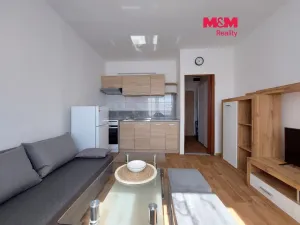 Pronájem bytu 1+kk, Klášterec nad Ohří - Miřetice u Klášterce nad Ohří, Královéhradecká, 19 m2