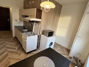 Pronájem bytu 1+1, Ostrava - Poruba, Otakara Jeremiáše, 38 m2
