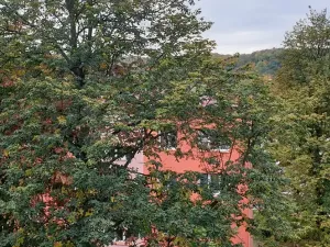 Prodej bytu 2+1, Ústí nad Labem, 17. listopadu, 50 m2