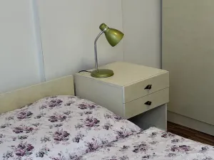 Prodej ubytování, Hradec Králové, Všehrdova, 260 m2