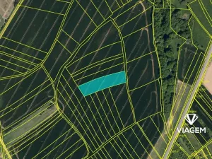 Prodej podílu pole, Bystřice pod Hostýnem, 1301 m2