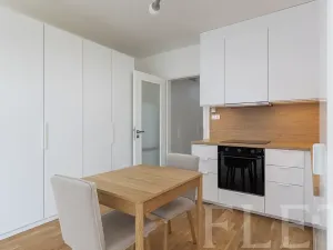 Pronájem bytu 1+kk, Praha - Karlín, Švarcova, 36 m2