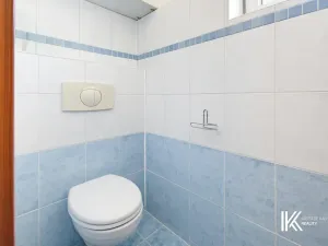 Prodej rodinného domu, Hrochův Týnec, 356 m2