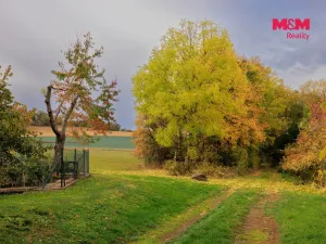 Prodej louky, Lužany - Zelené, 5700 m2