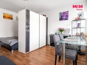 Prodej bytu 1+kk, Pardubice - Zelené Předměstí, Palackého třída, 31 m2