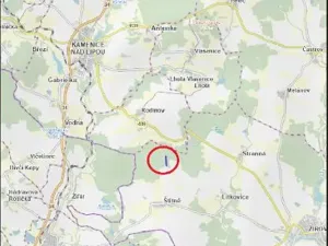 Prodej lesa, Žirovnice, 2626 m2