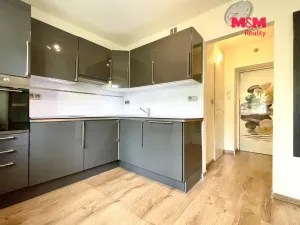 Pronájem bytu 1+1, Kladno, Sevastopolská, 29 m2