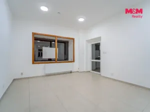 Pronájem obchodního prostoru, Plzeň - Jižní Předměstí, Tylova, 36 m2