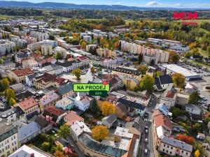 Prodej obchodního prostoru, Rychnov nad Kněžnou, Panská, 489 m2
