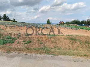 Prodej pole, Drahanovice, 2273 m2