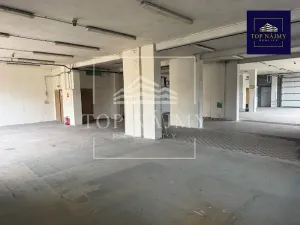 Pronájem skladu, Ostrava, Novinářská, 321 m2
