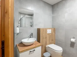 Prodej ubytování, Bartošovice v Orlických horách, 500 m2