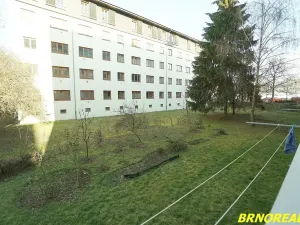 Pronájem bytu 2+kk, Brno, Dvorského, 43 m2