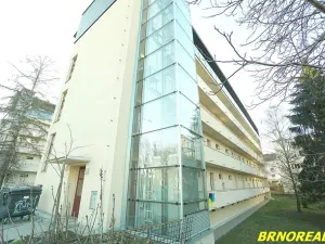Pronájem bytu 2+kk, Brno, Dvorského, 43 m2