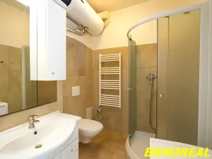 Pronájem bytu 1+kk, Brno, Vodní, 20 m2
