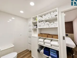 Prodej bytu 1+1, Praha - Vinohrady, Na Kozačce, 48 m2