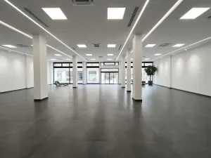 Pronájem obchodního prostoru, Ústí nad Labem, Masarykova, 282 m2
