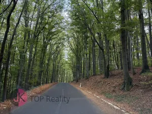 Prodej rodinného domu, Litvínov, 115 m2