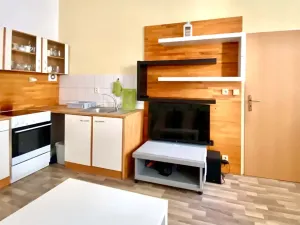 Pronájem bytu 1+1, Brno, Pekařská, 28 m2